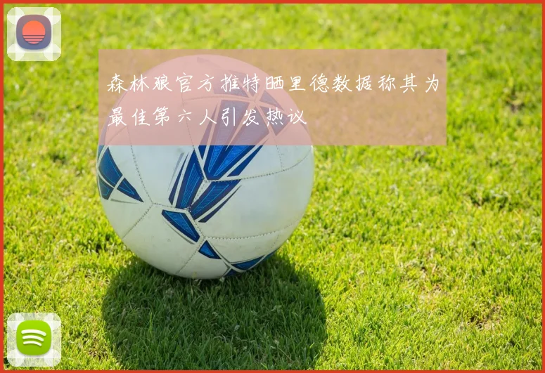 森林狼官方推特晒里德数据称其为最佳第六人引发热议